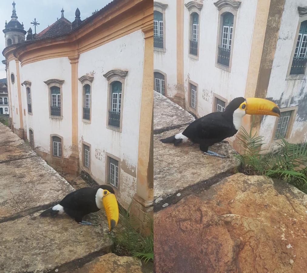 Сasa de vacaciones º Real º